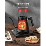 Gooseneck Electric Pour-Over Kettle, Temperature Variable Kettle for Coffee Tea Brewing, 1L Stainless Steel Kettle, Temperature Holding, Built-in Stopwatch,Button Control,Quick Heating,Black